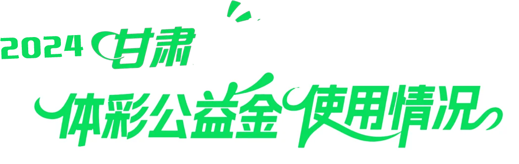 资金使用